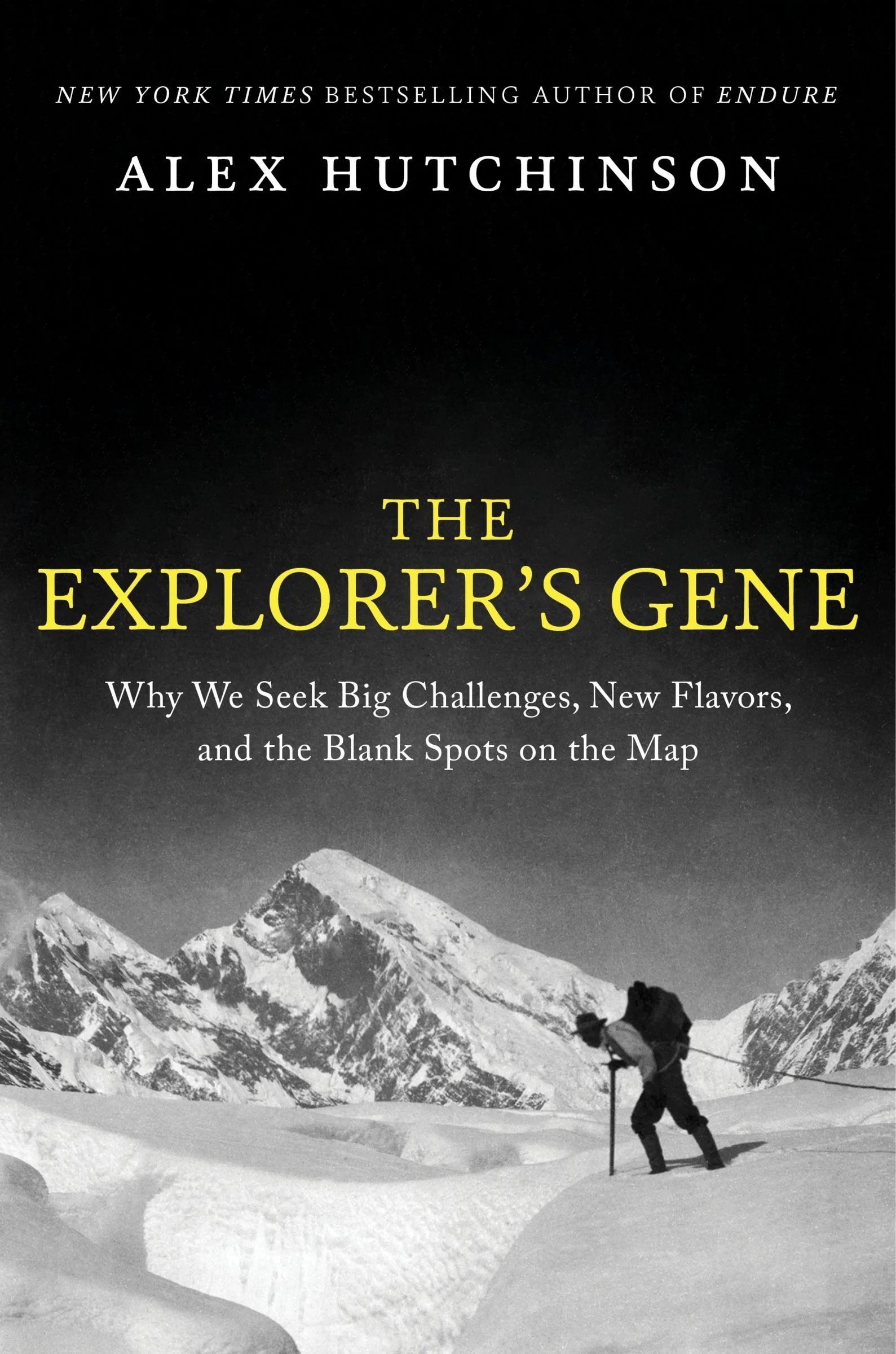 The Explorer's Gene - Image 3