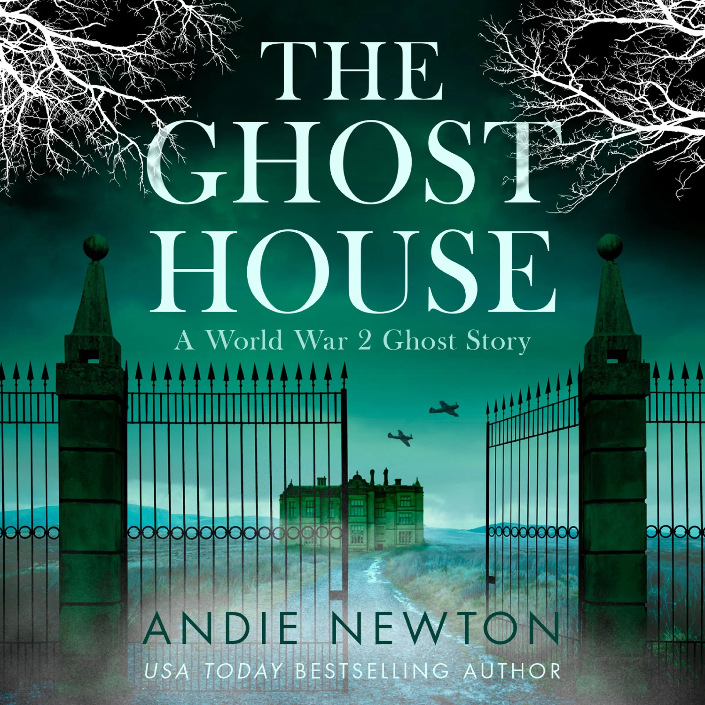 The Ghost House - Image 3