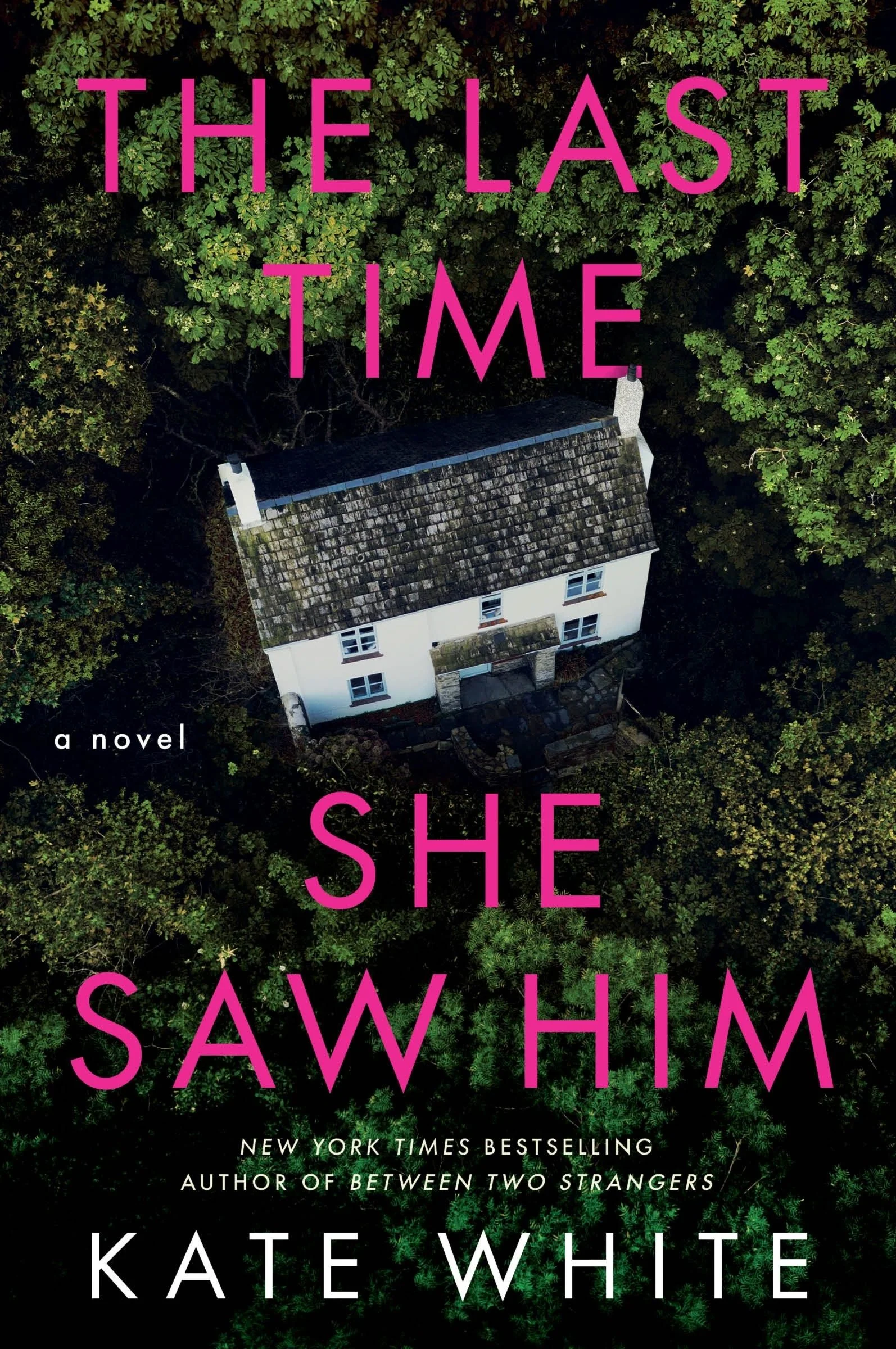 The Last Time She Saw Him - Image 3