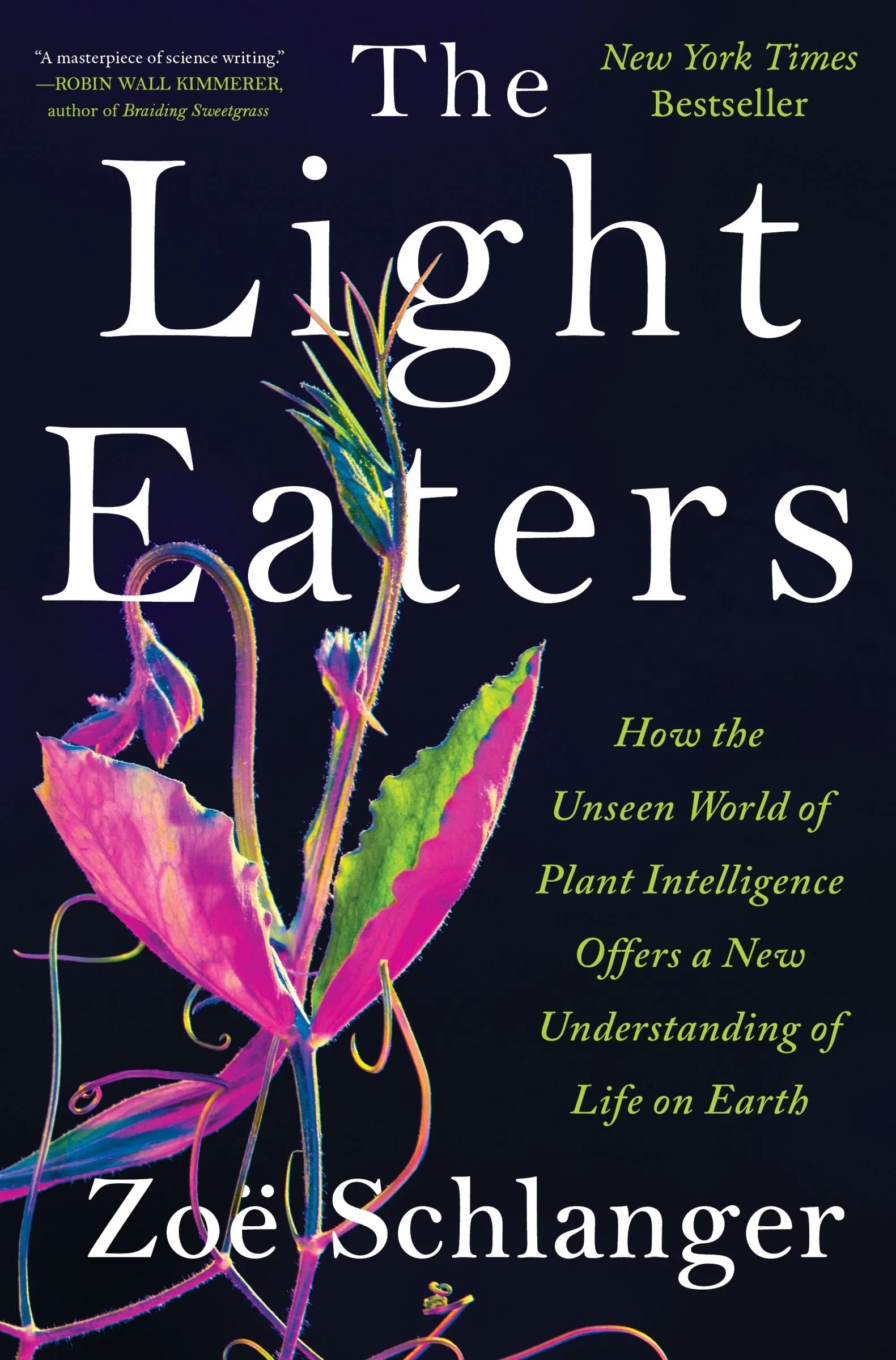 The Light Eaters - Image 4