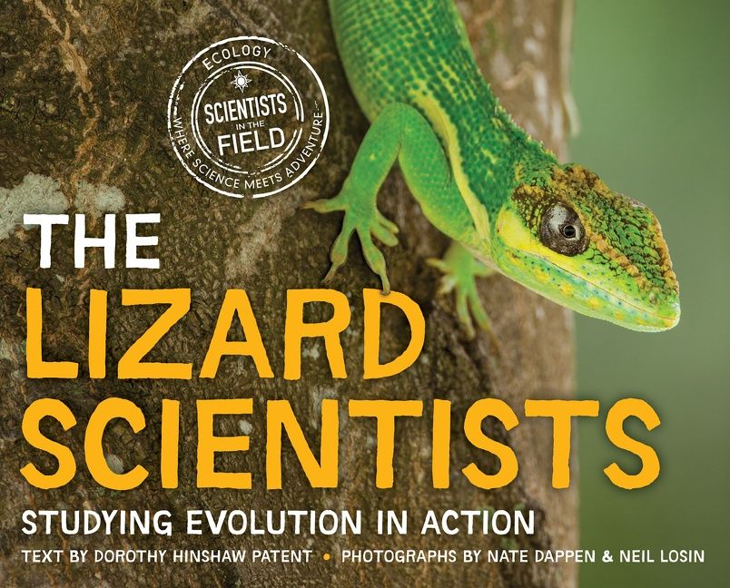 The Lizard Scientists - Image 3