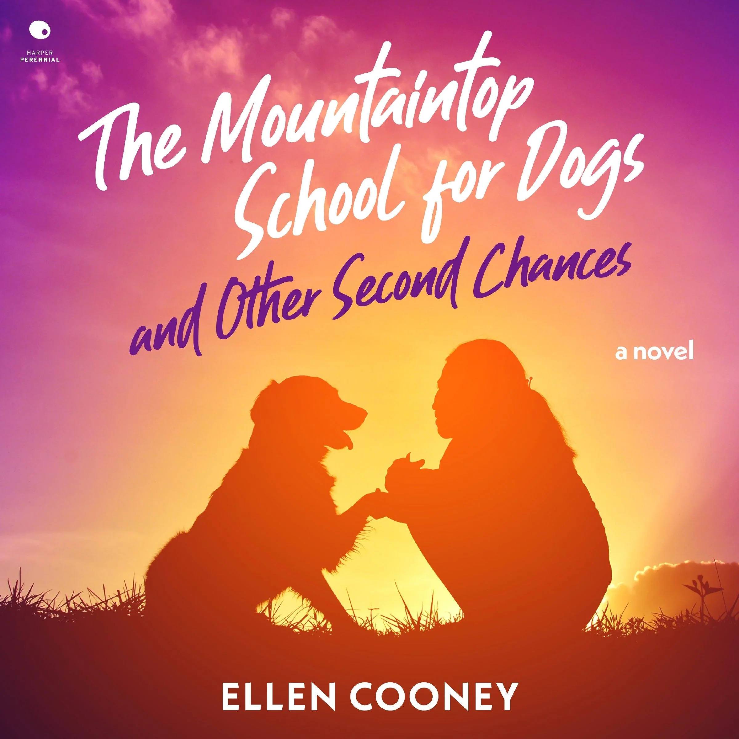 The Mountaintop School For Dogs And Other Second Chances - Image 3