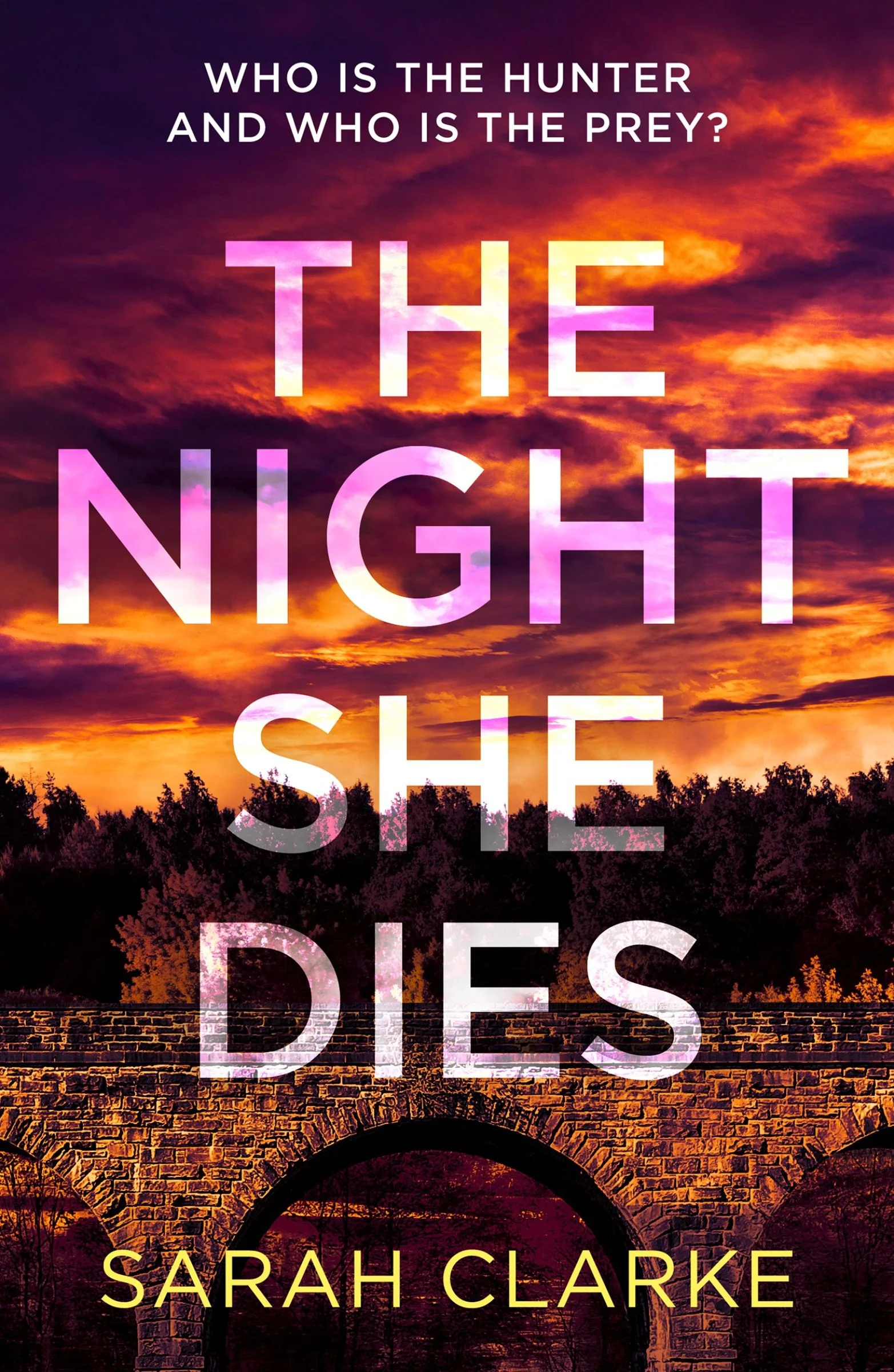 The Night She Dies - Image 2