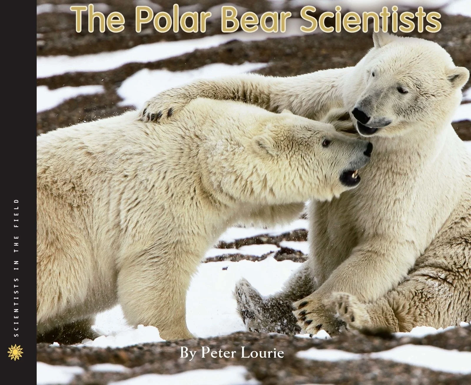 The Polar Bear Scientists - Image 2
