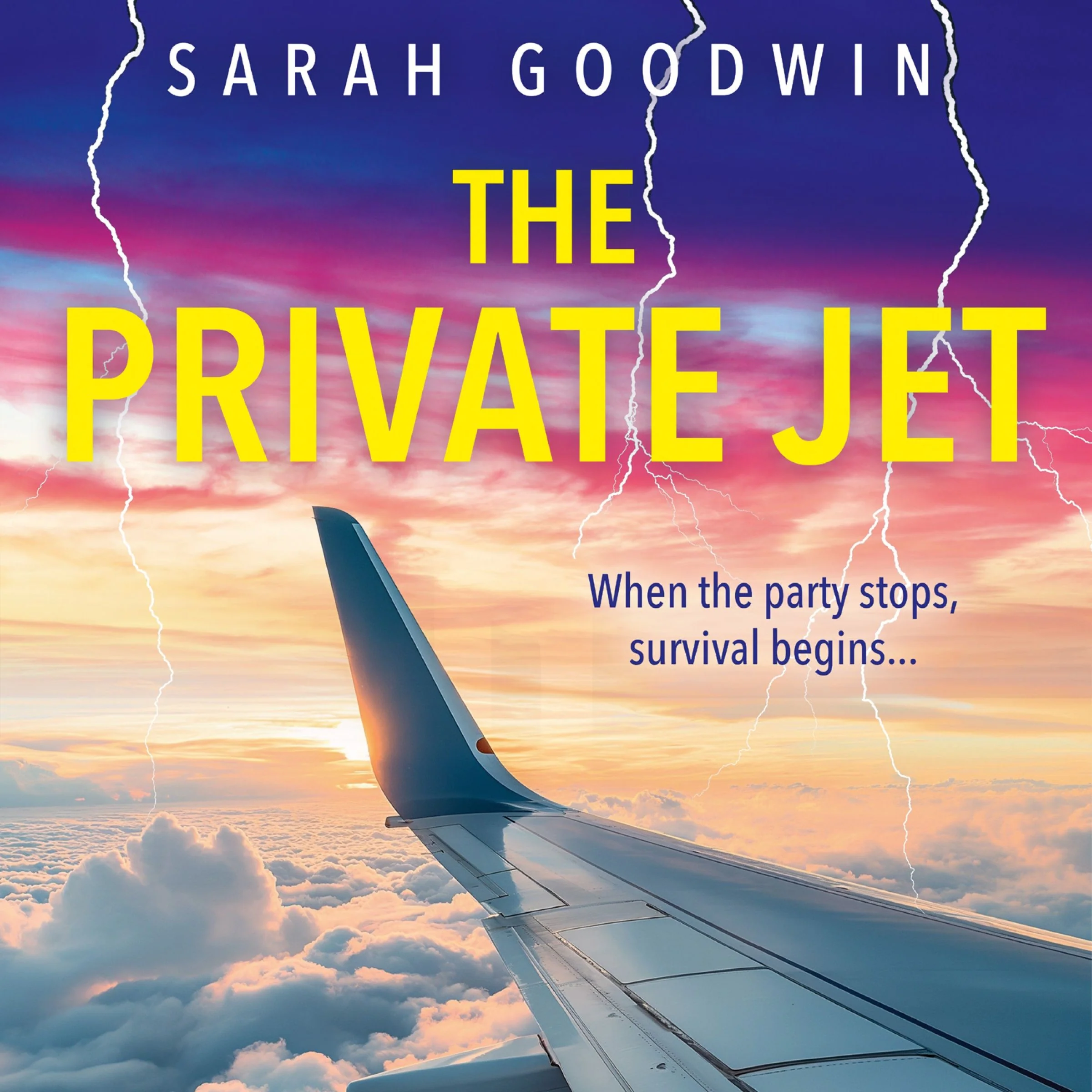 The Private Jet (The Thriller Collection, Book 7) - Image 4