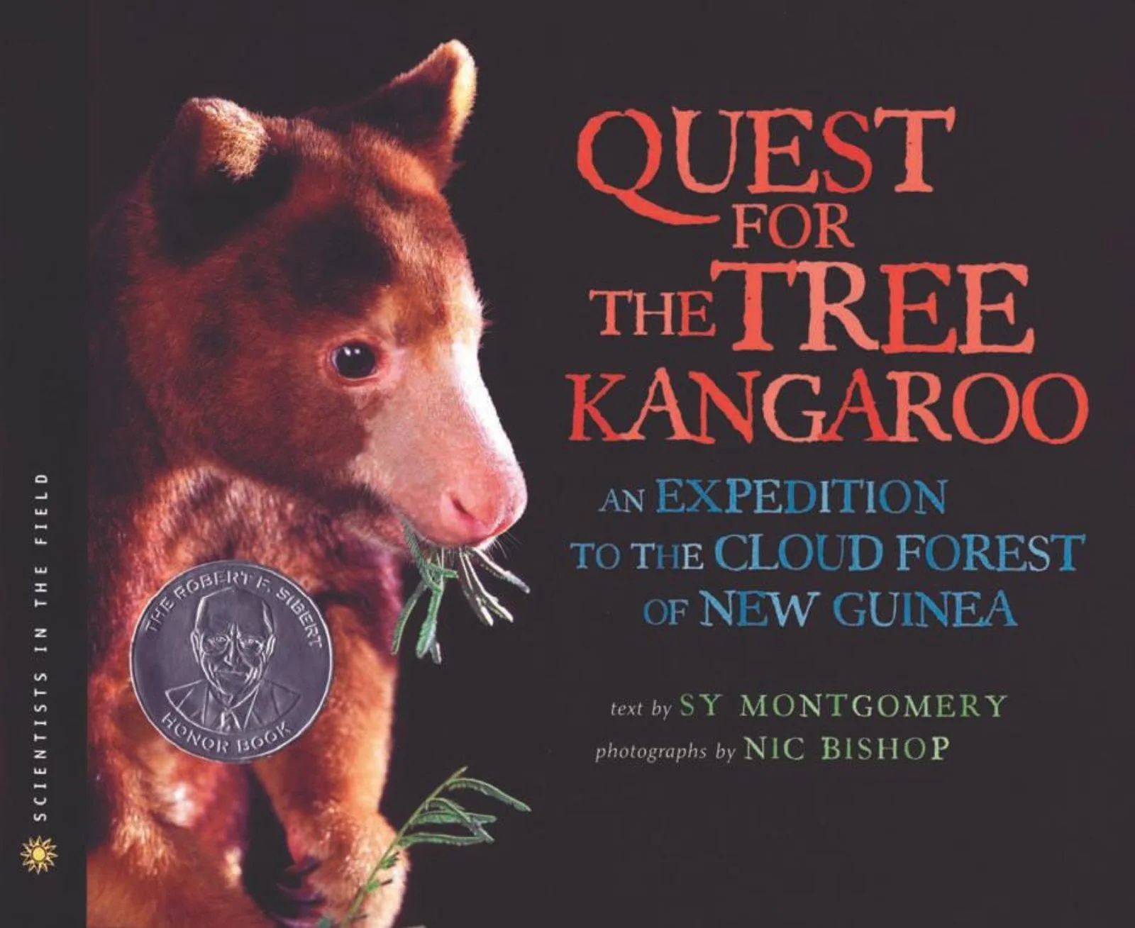 The Quest for the Tree Kangaroo - Image 3