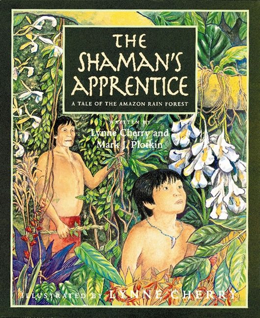The Shaman's Apprentice - Image 2