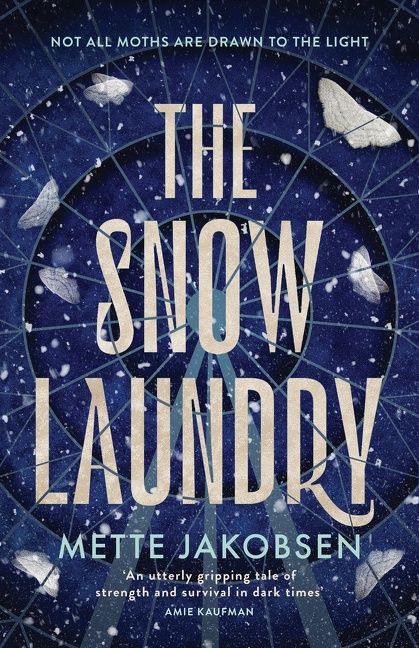 The Snow Laundry (The Towers, #1) - Image 2