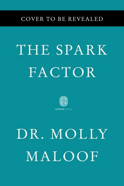 The Spark Factor - Image 3