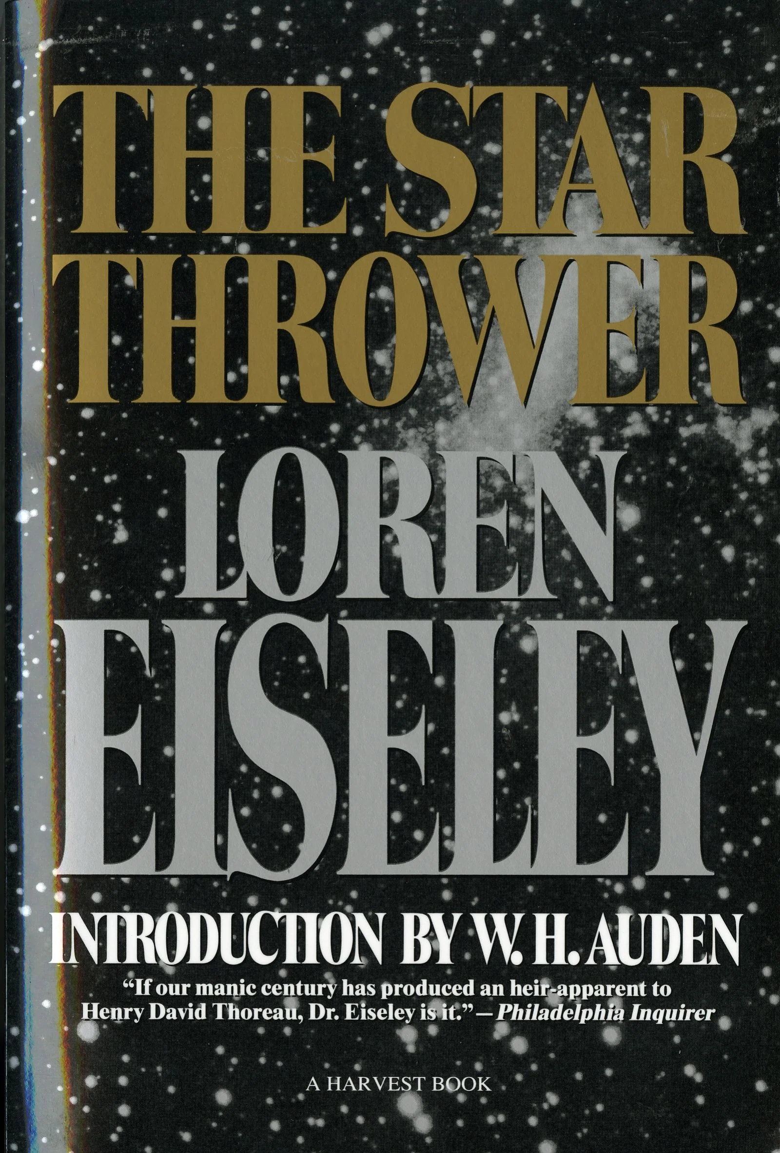 The Star Thrower - Image 2