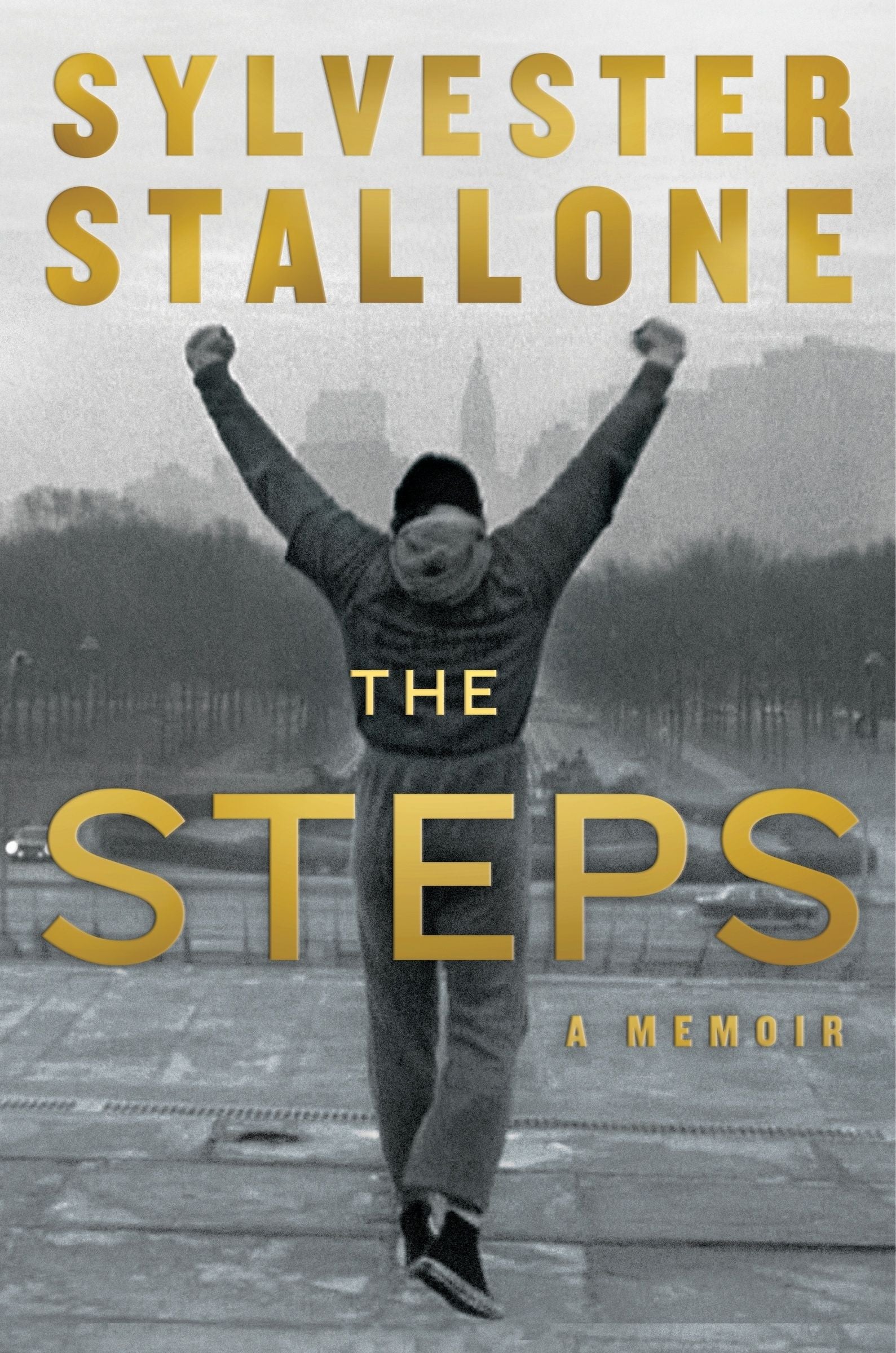 The Steps - Image 3