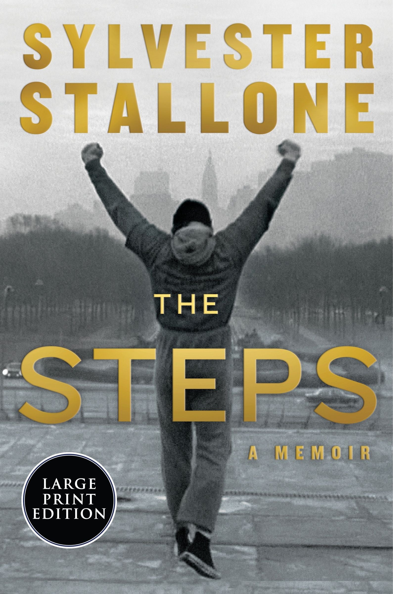 The Steps - Image 4