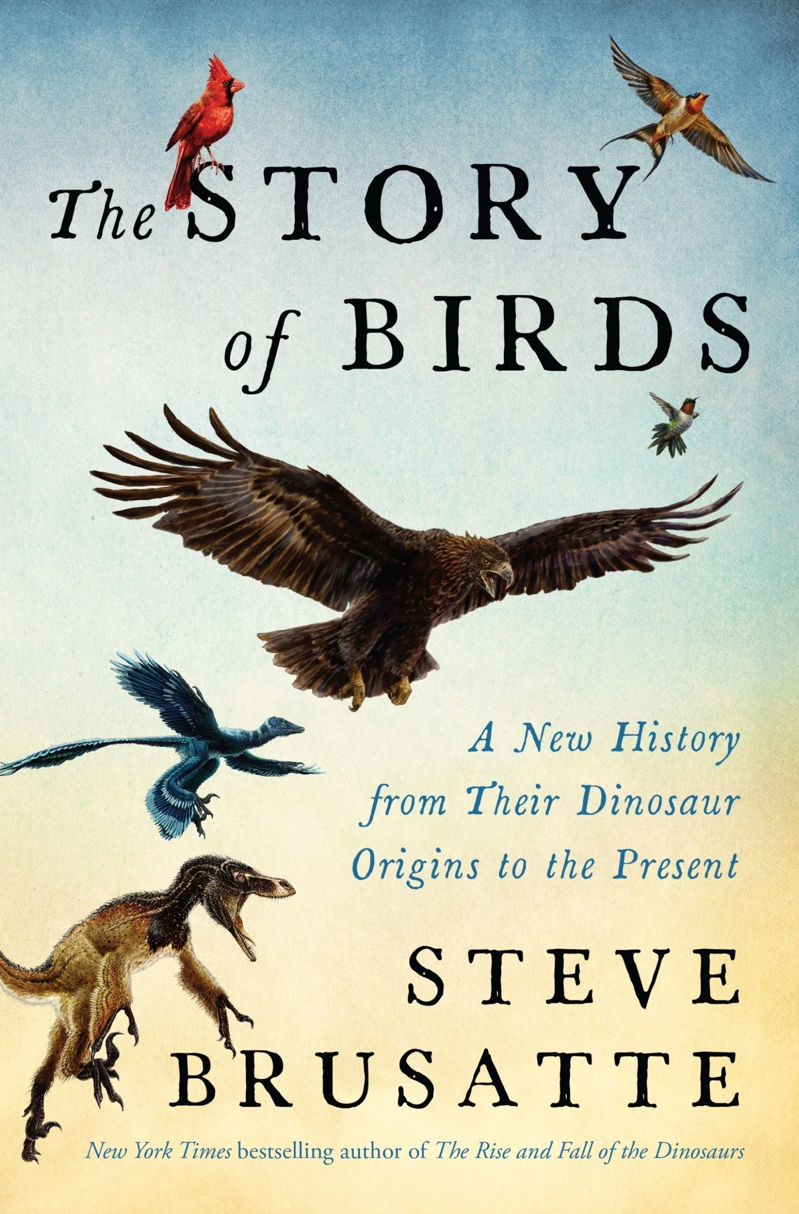 The Story of Birds