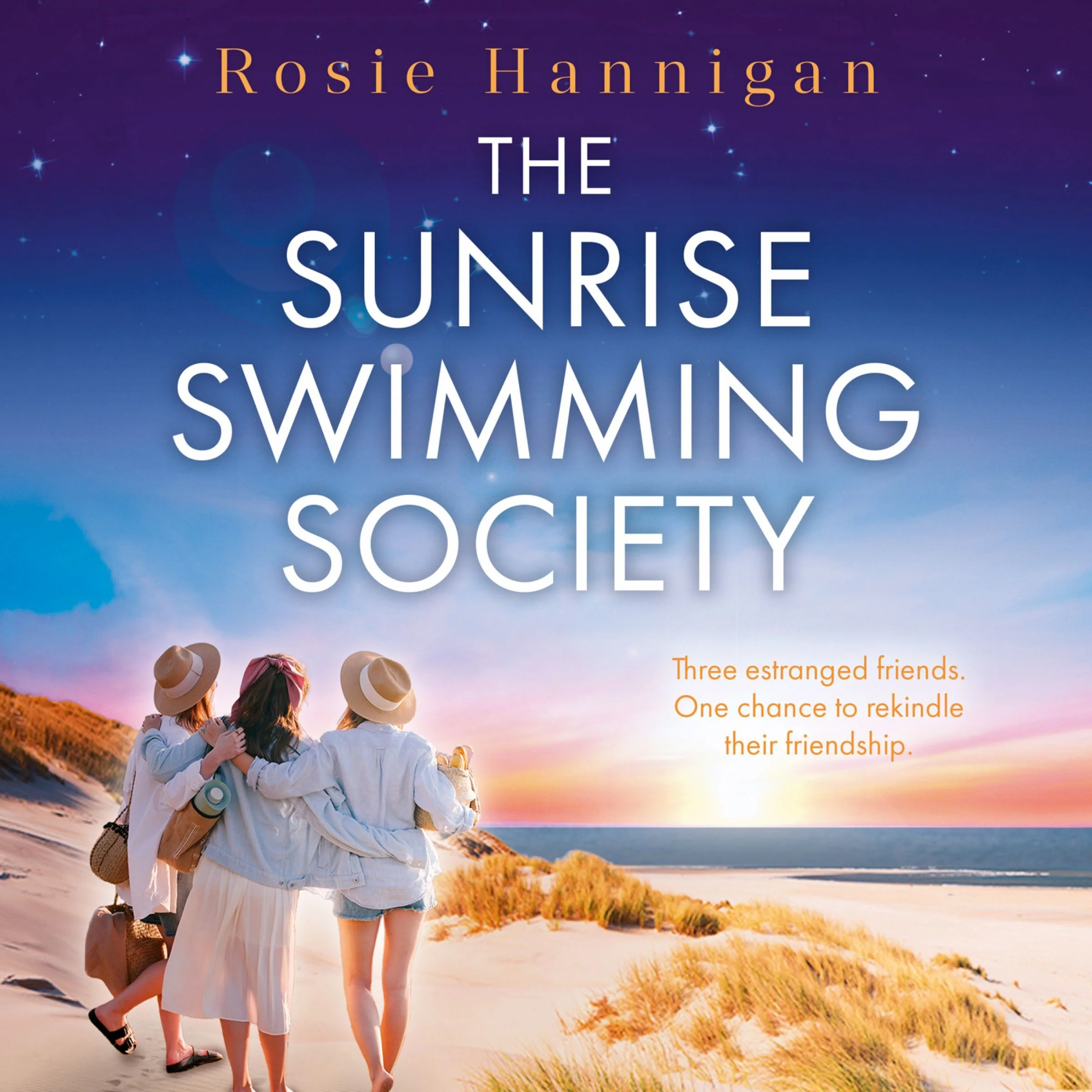 The Sunrise Swimming Society - Image 3