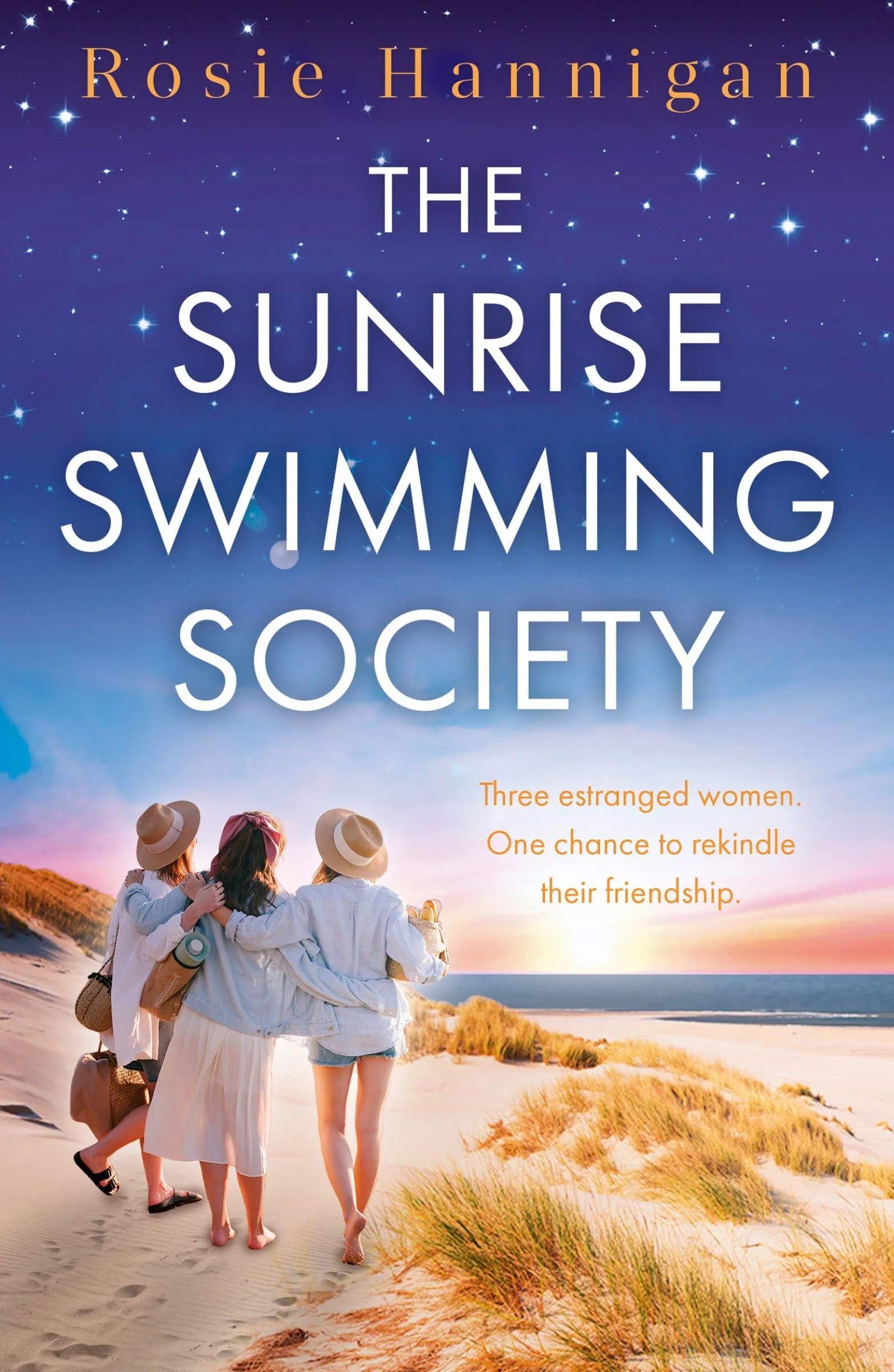 The Sunrise Swimming Society - Image 4