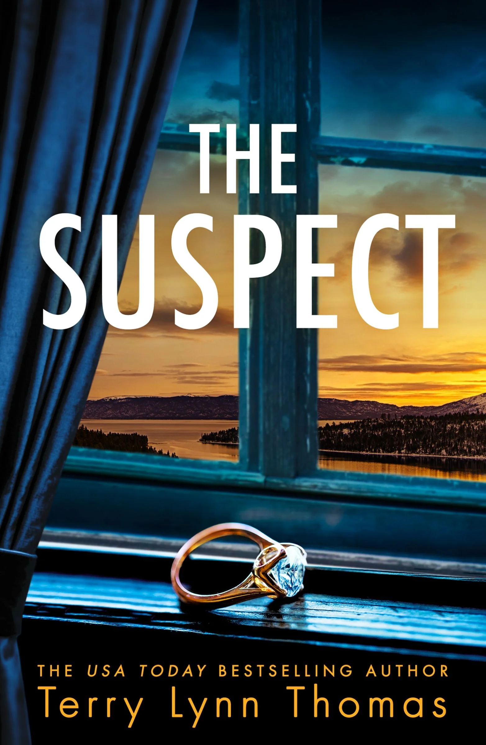The Suspect - Image 2