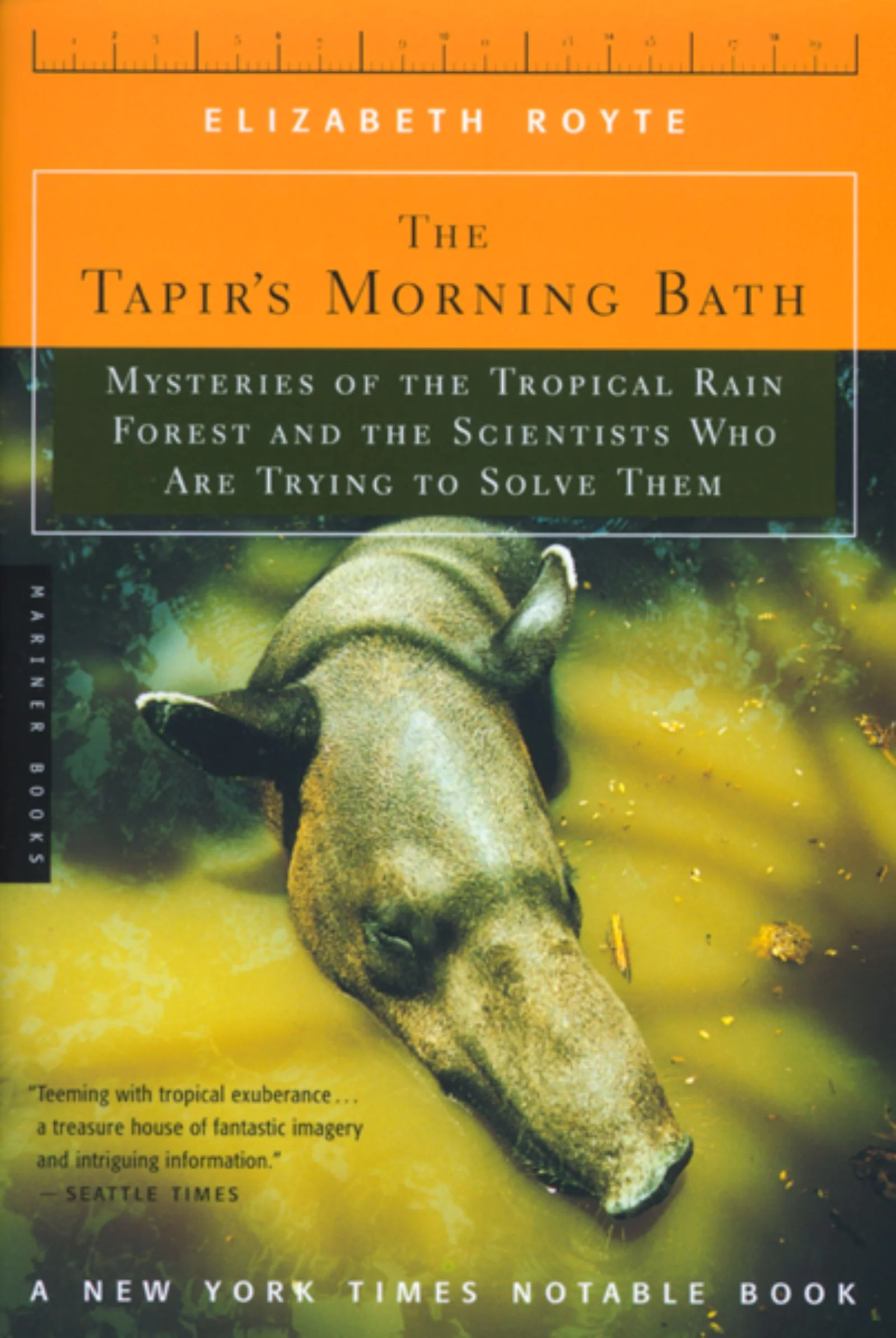The Tapir's Morning Bath - Image 2