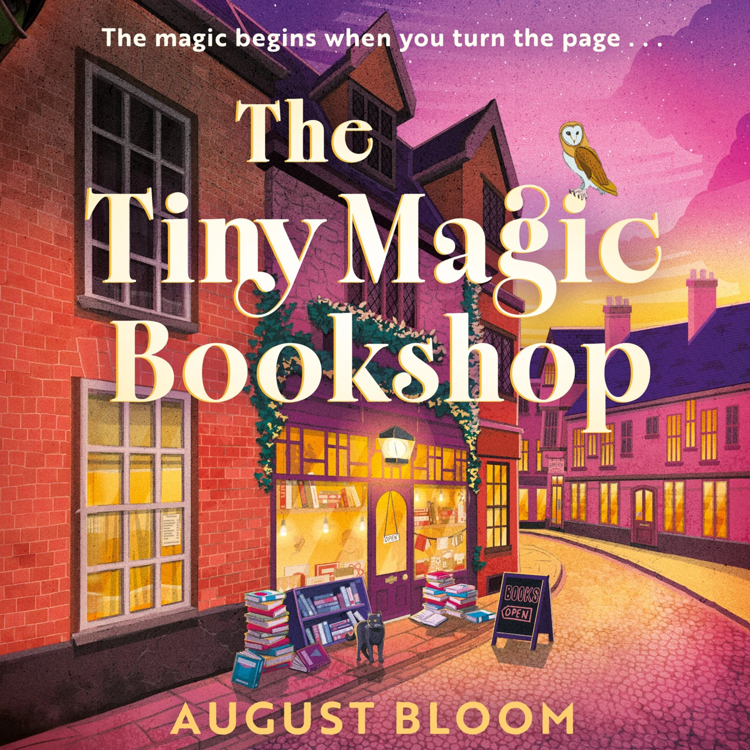The Tiny Magic Bookshop (The Tiny Magic series, Book 1) - Image 4