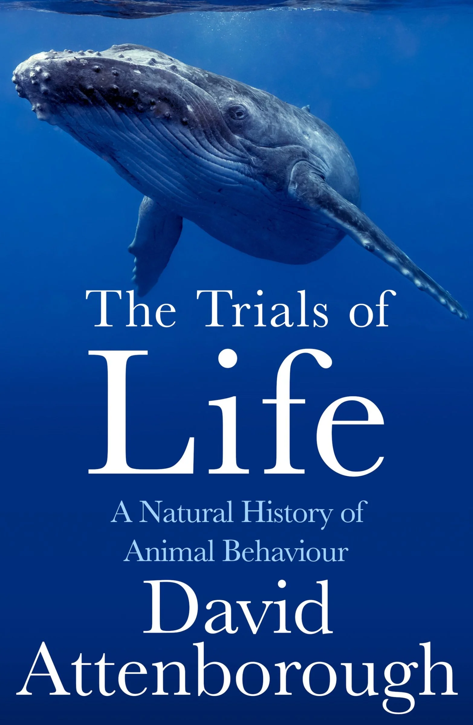 The Trials of Life: A Natural History of Animal Behaviour - Image 3
