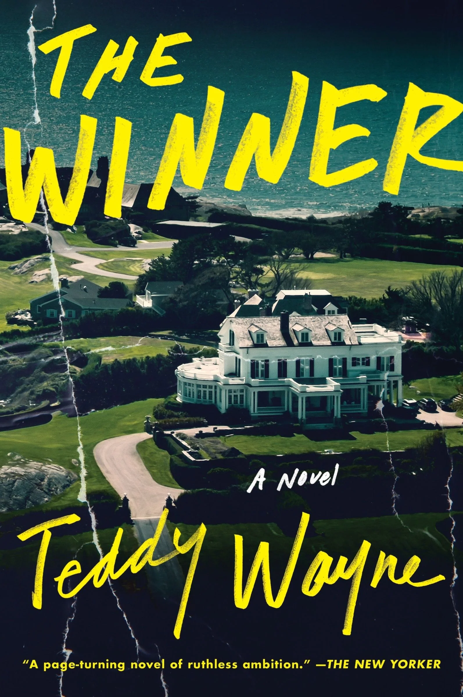 The Winner - Image 2
