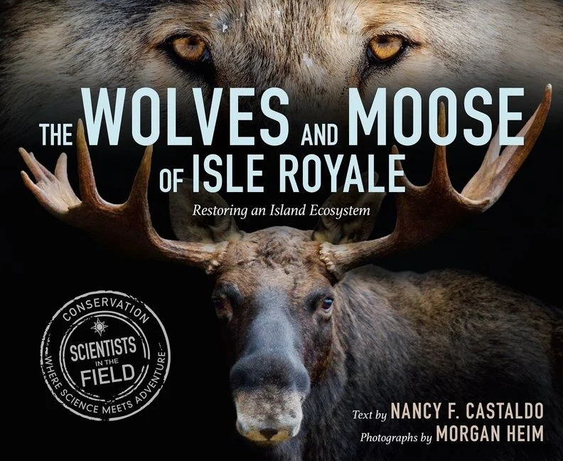 The Wolves and Moose of Isle Royale - Image 2