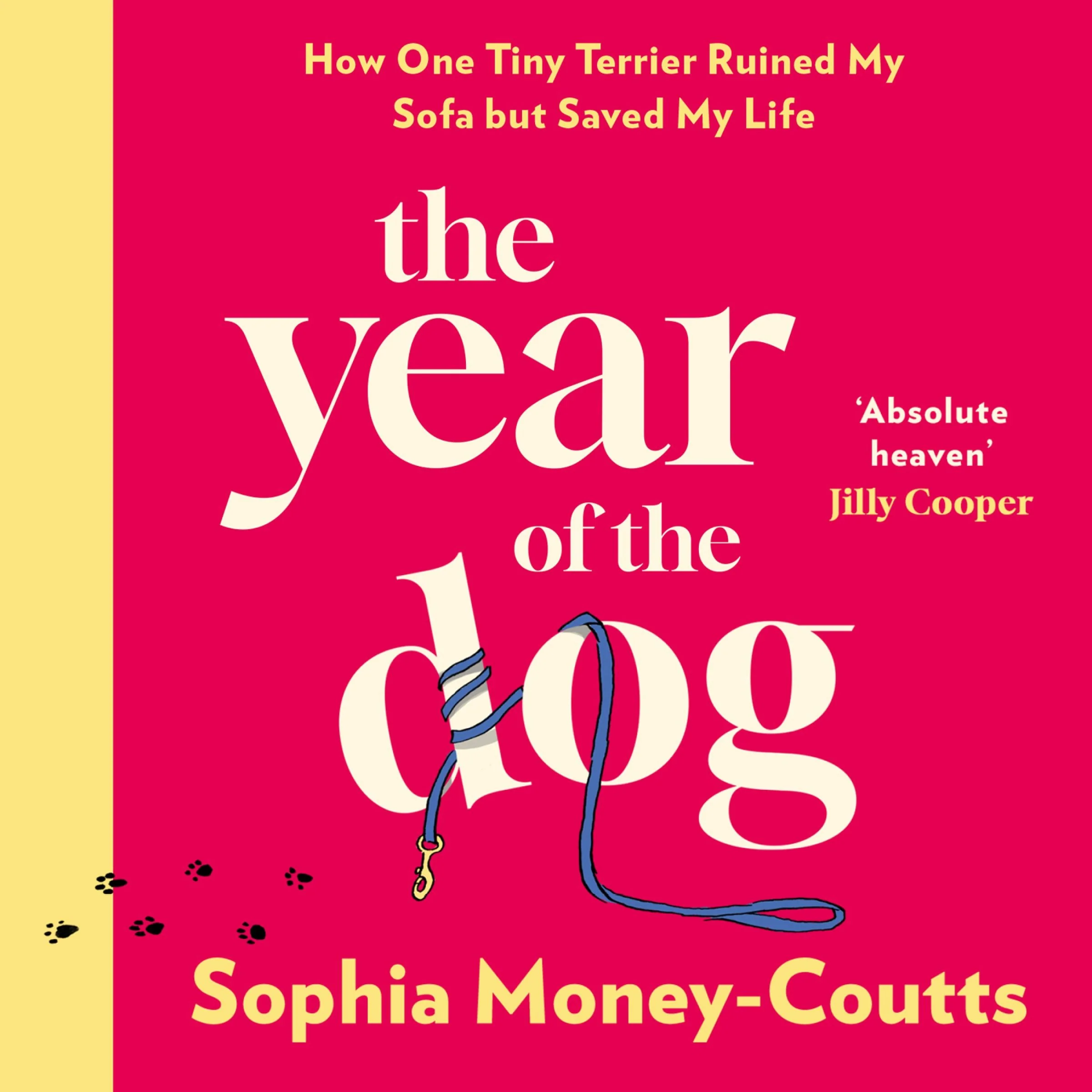 The Year of the Dog: How One Tiny Terrier Ruined My Sofa but Saved My Life - Image 3