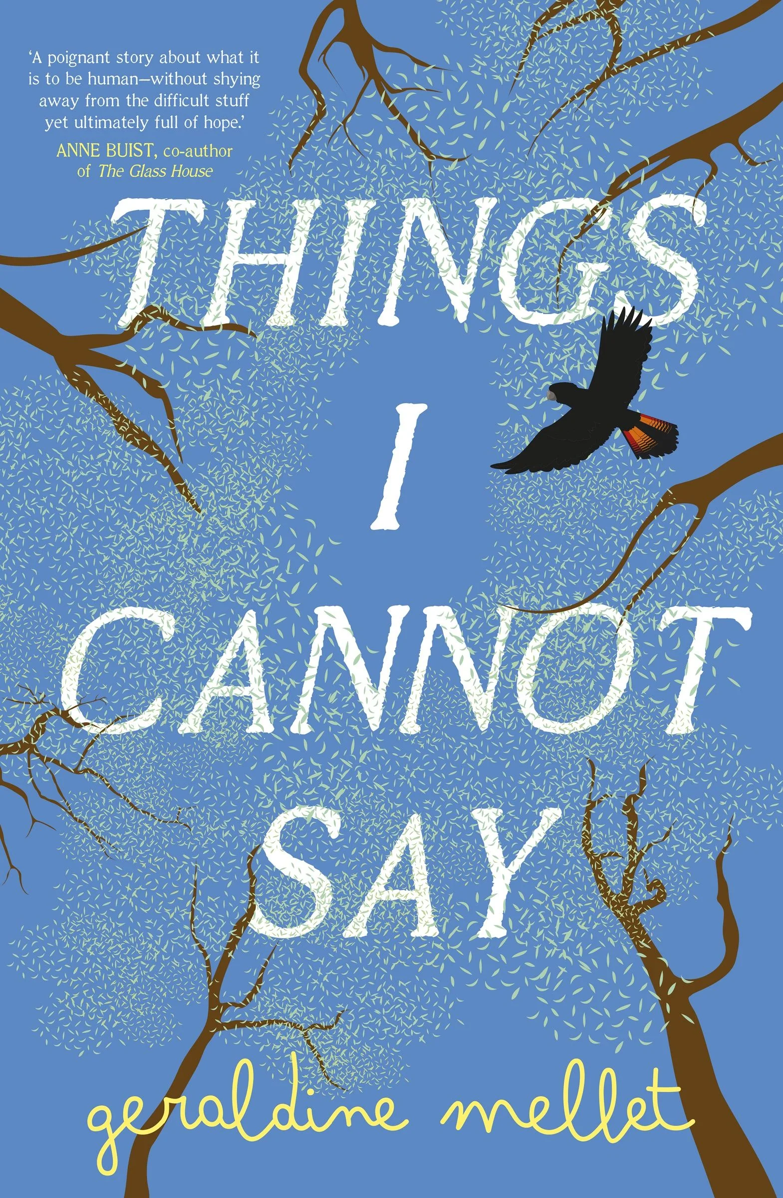 Things I Cannot Say: An important and powerful debut for fans of Graeme Simsion and Anne Buist.