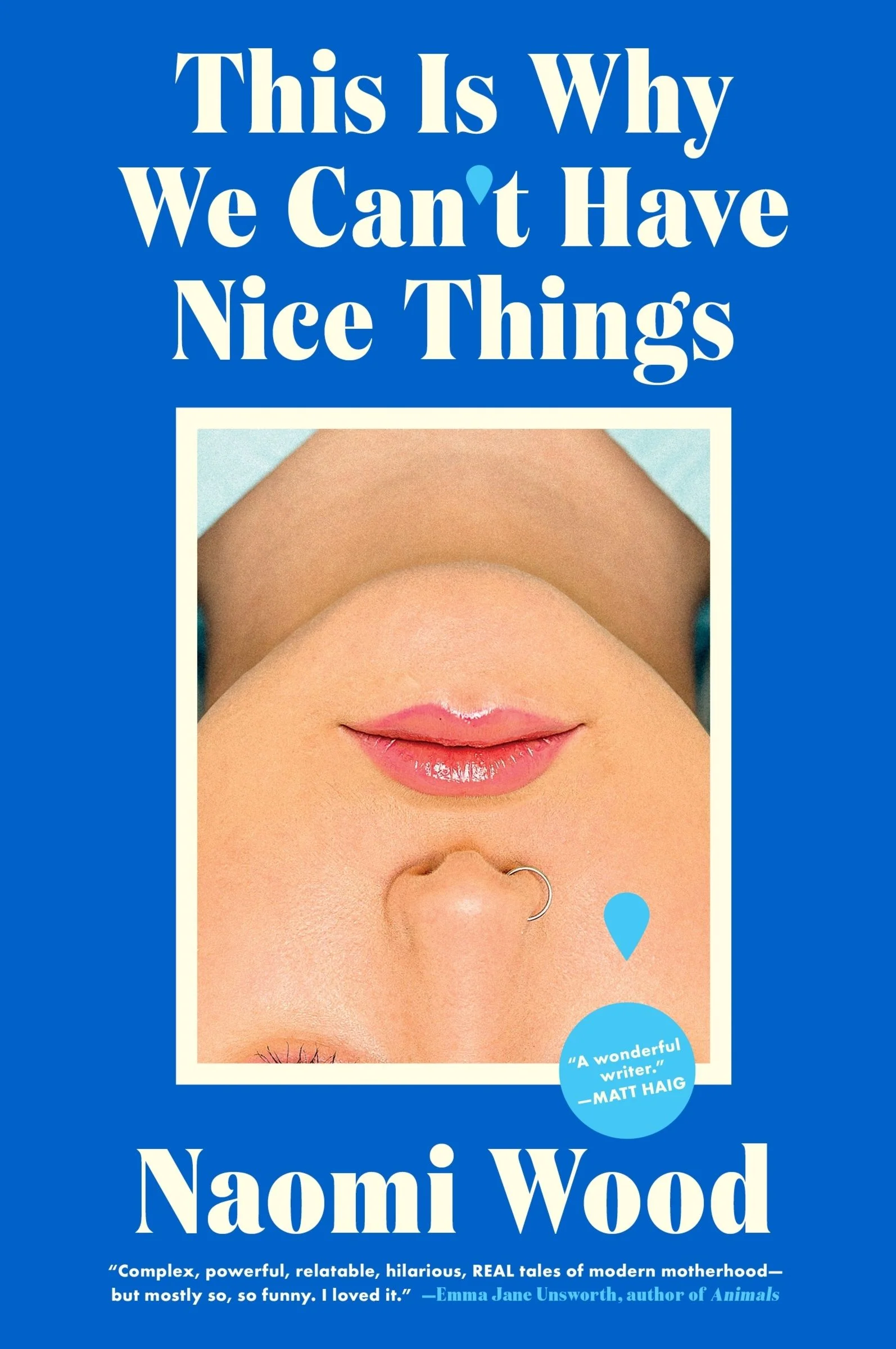 This Is Why We Can’t Have Nice Things - Image 4