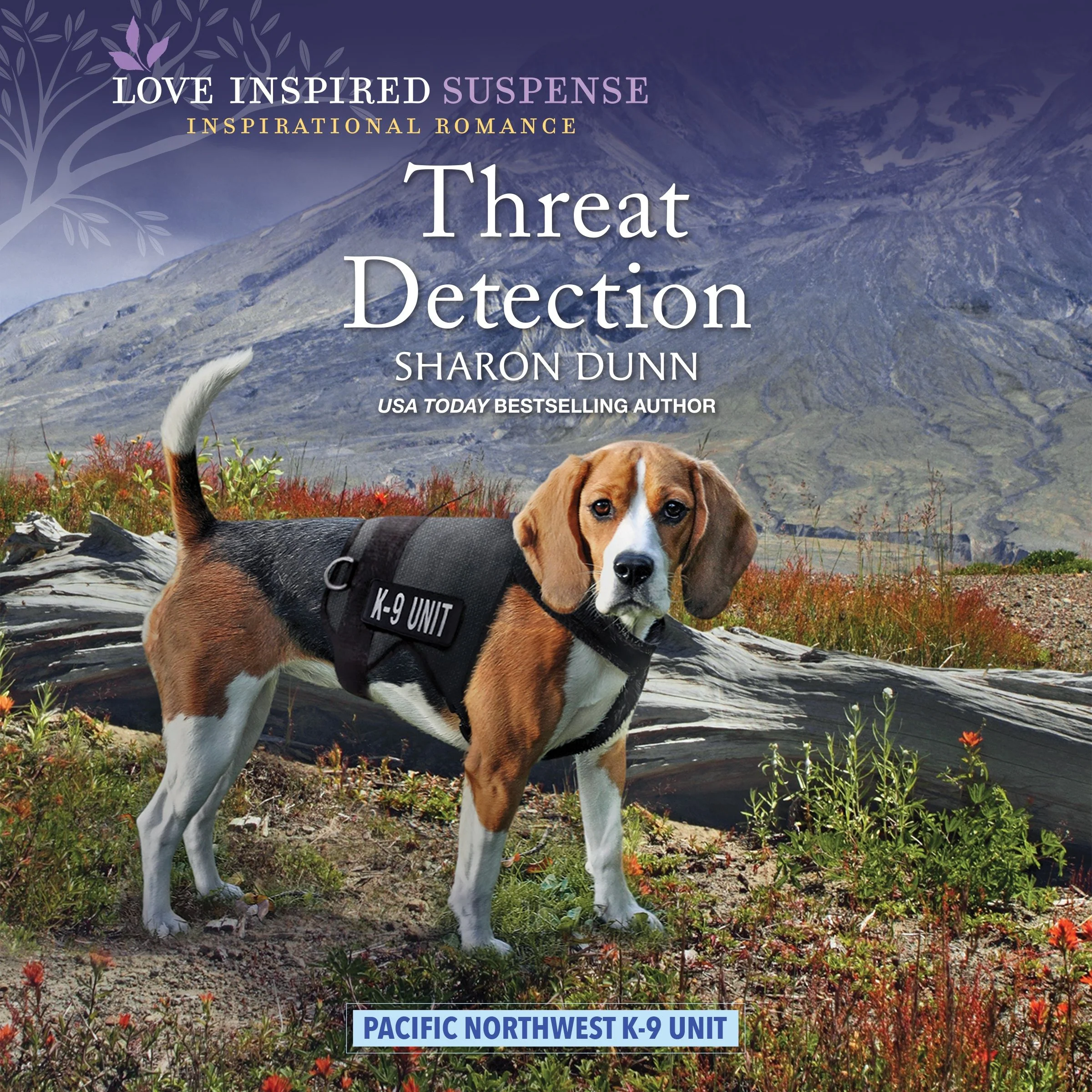 Threat Detection - Image 2