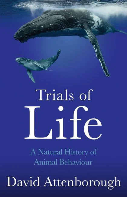 Trials of Life: A Natural History of Animal Behaviour - Image 3