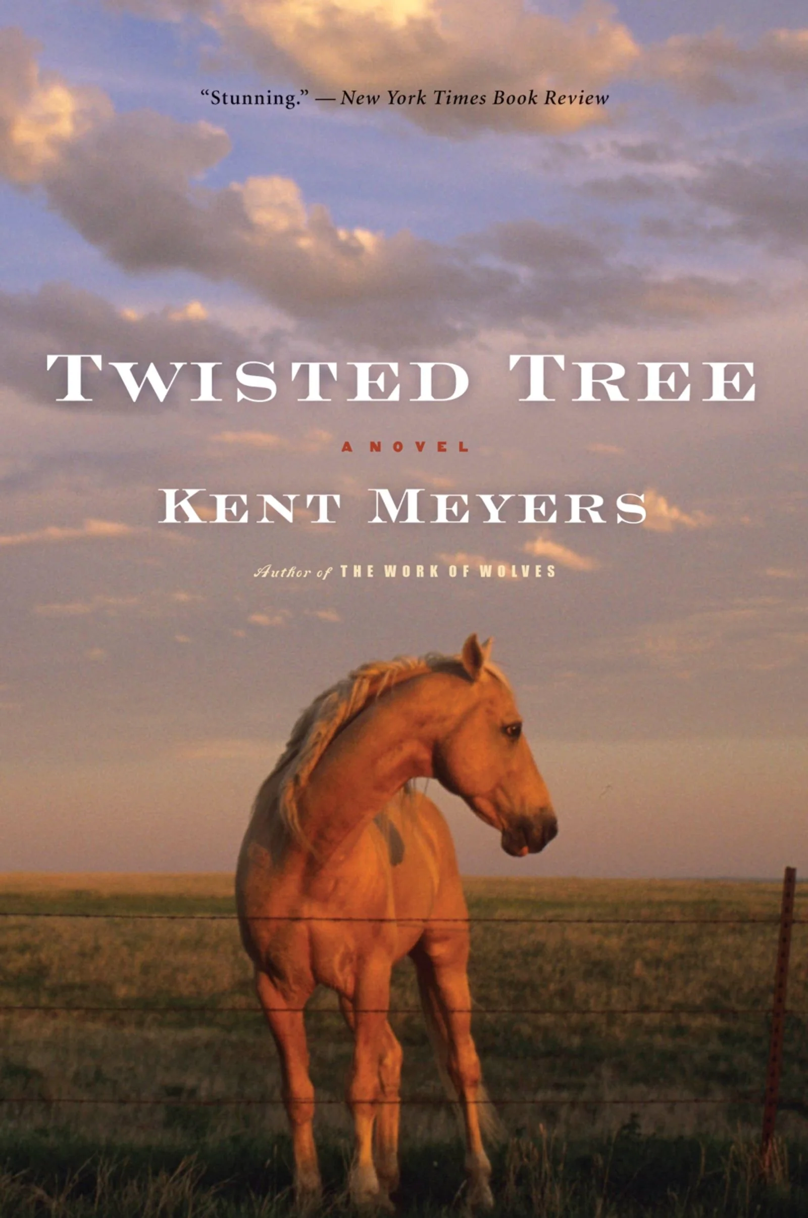 Twisted Tree - Image 2