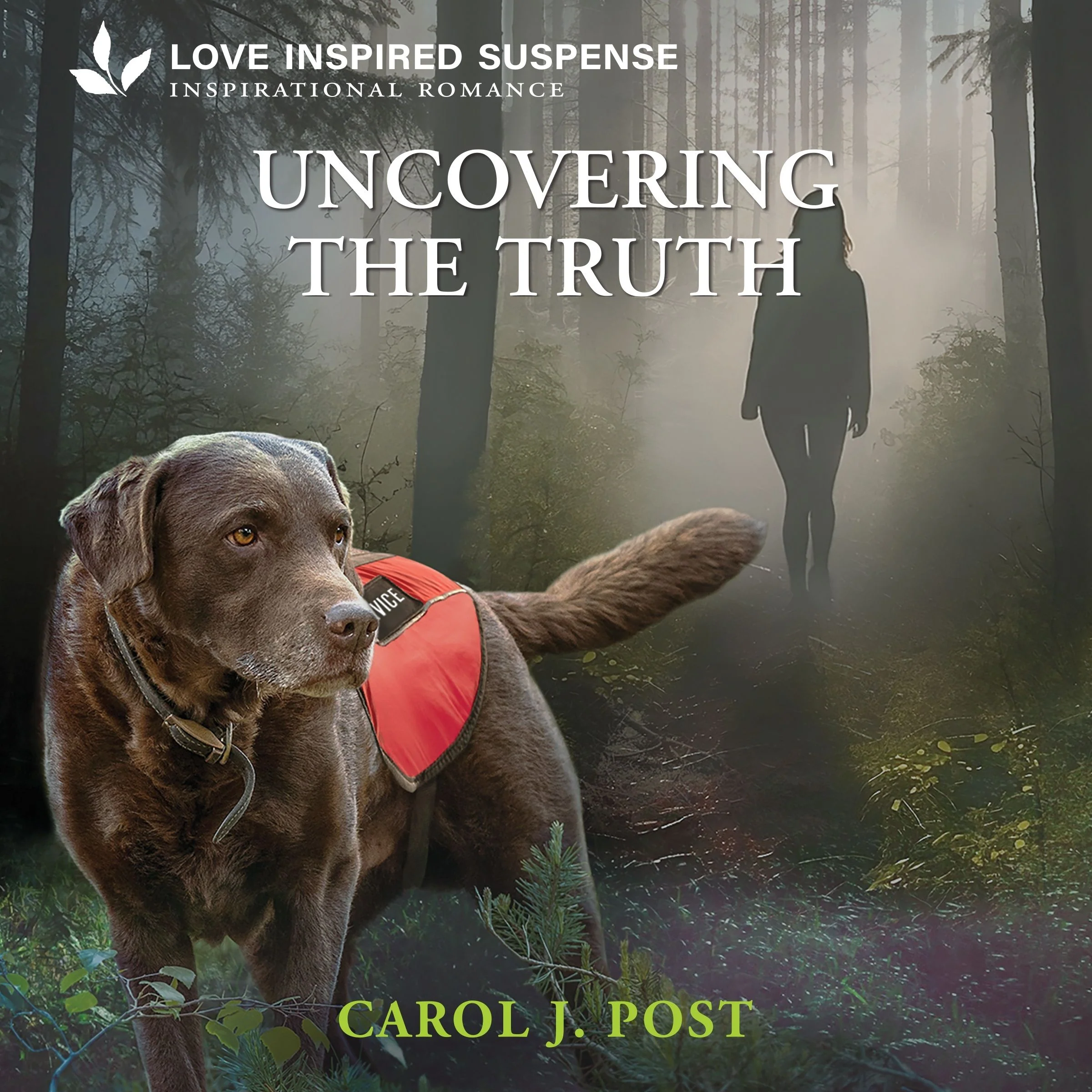 Uncovering the Truth - Image 2