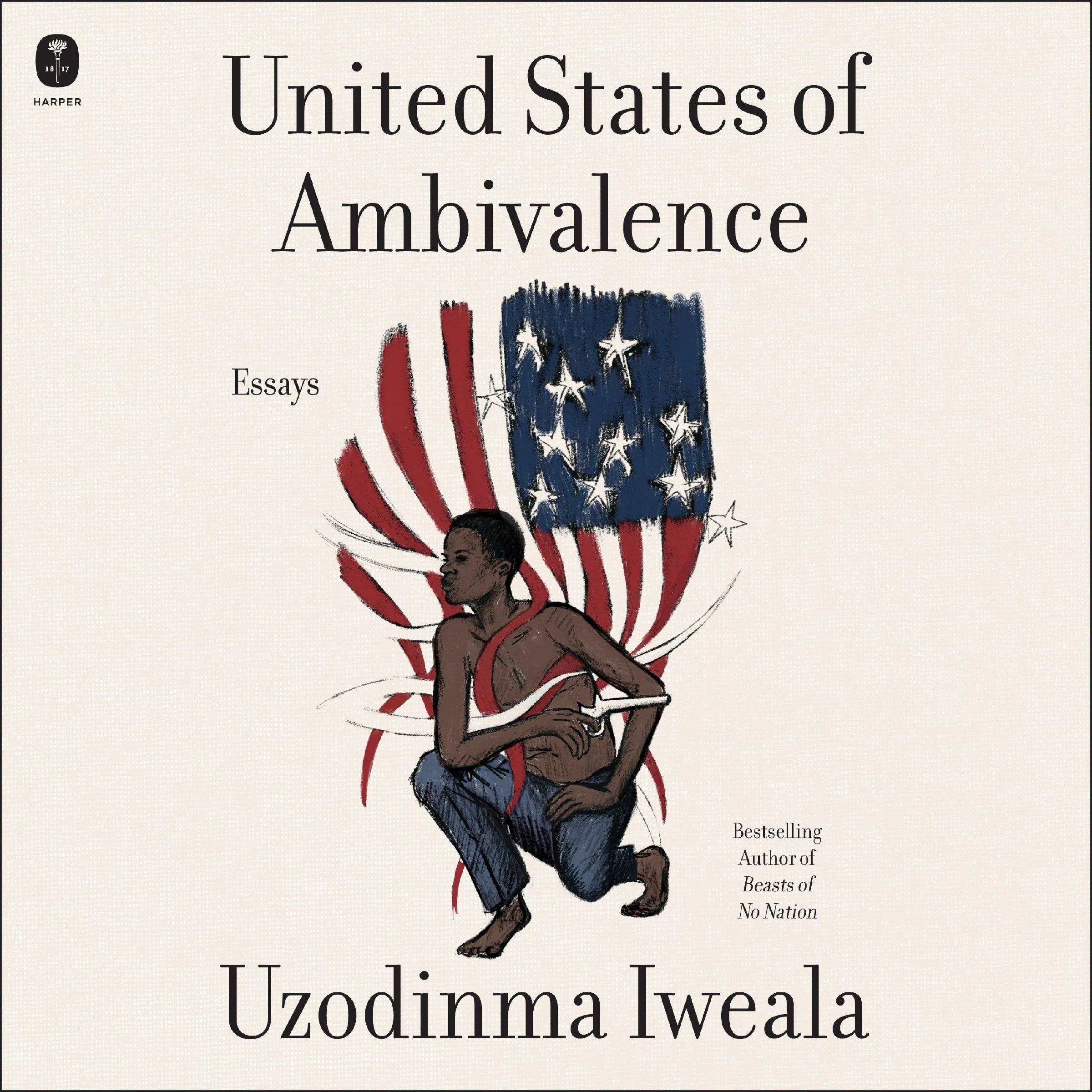 United States of Ambivalence - Image 3