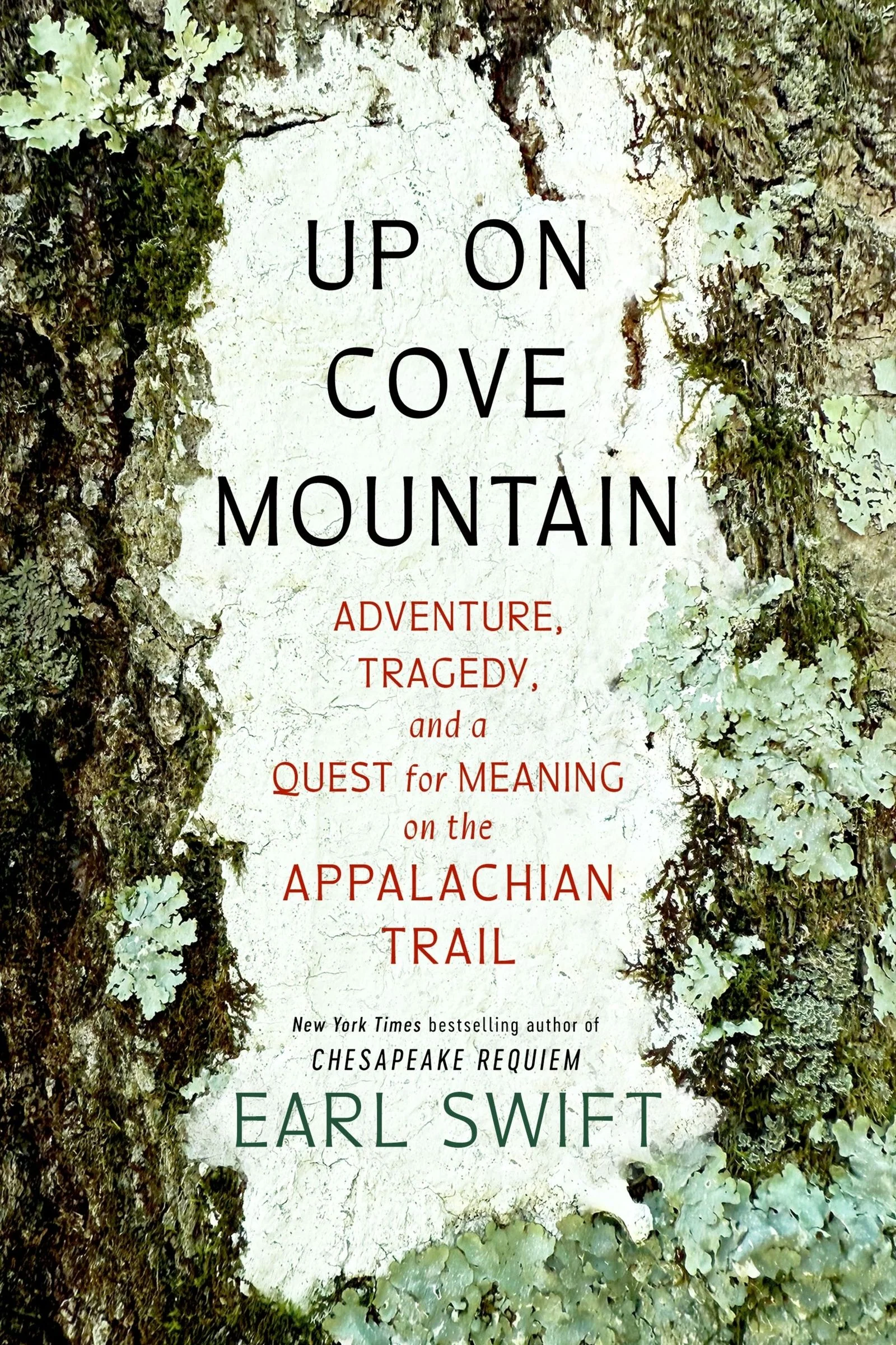Up on Cove Mountain - Image 2