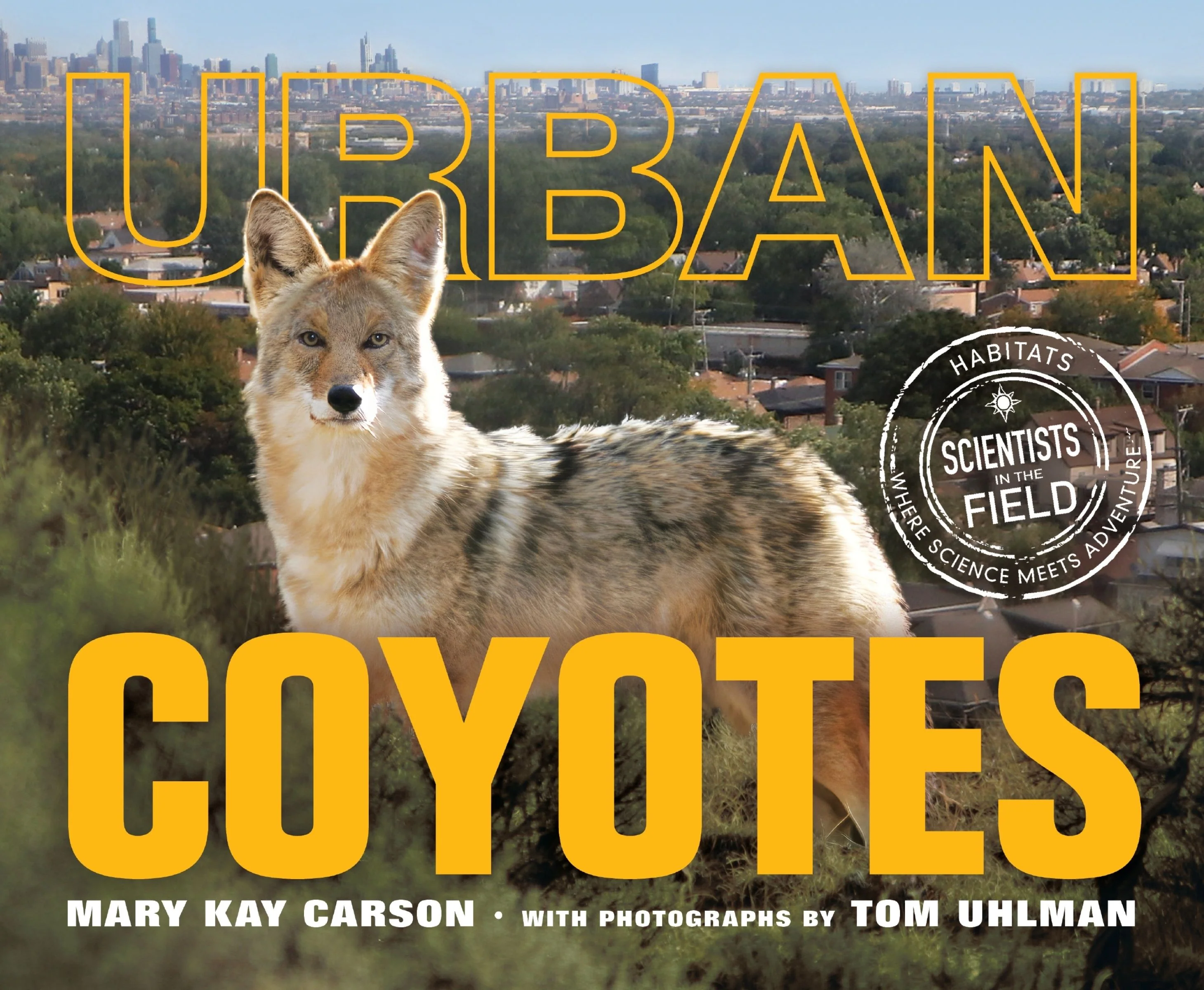 Urban Coyotes - Image 3