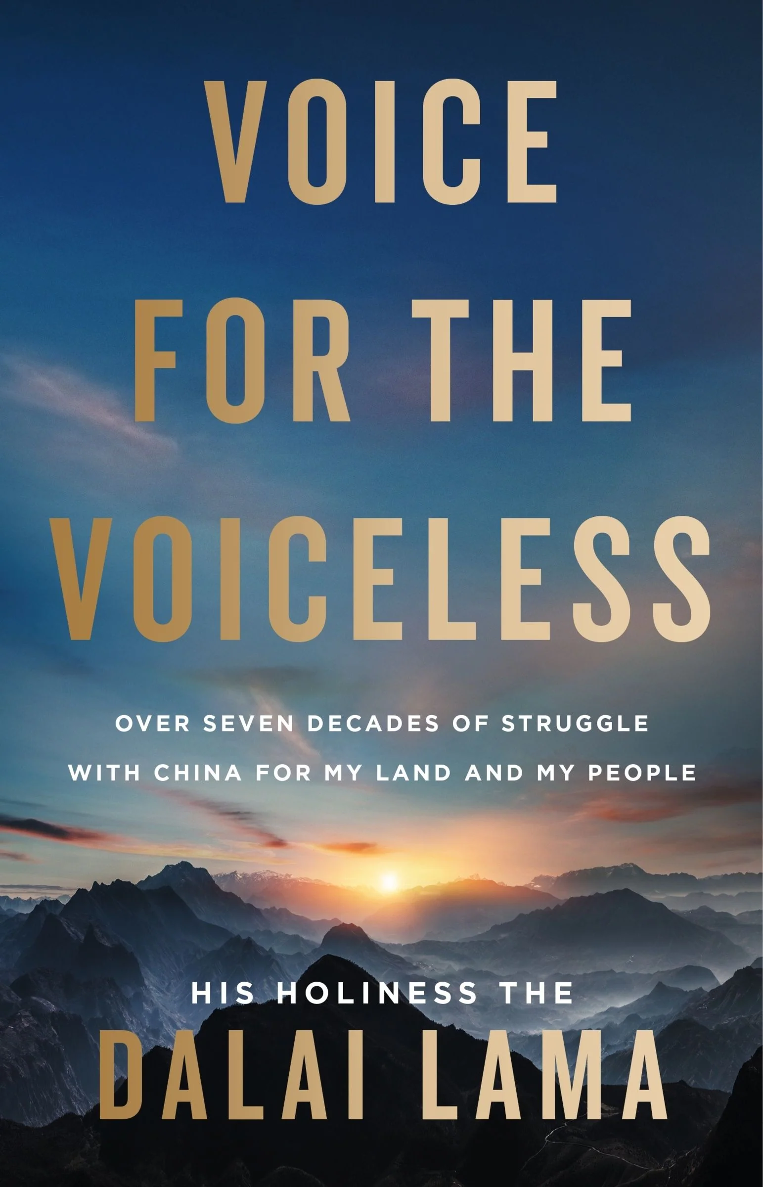Voice for the Voiceless - Image 4
