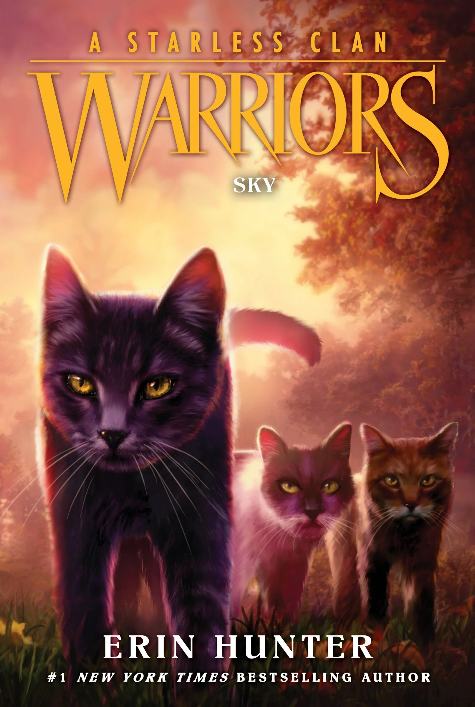 Warriors: A Starless Clan #2: Sky - Image 3