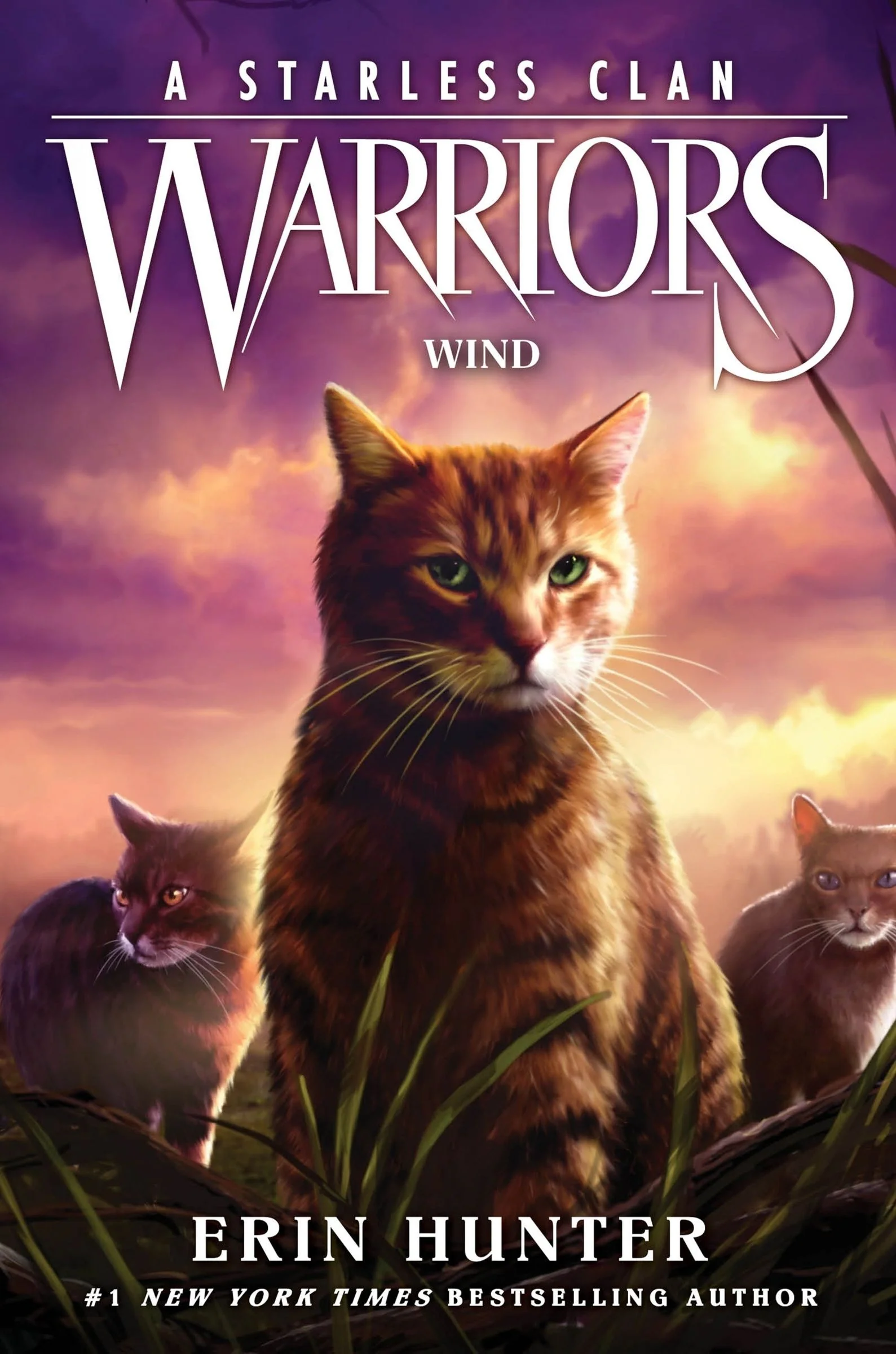 Warriors: A Starless Clan #5: Wind - Image 3
