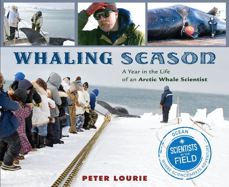 Whaling Season - Image 2