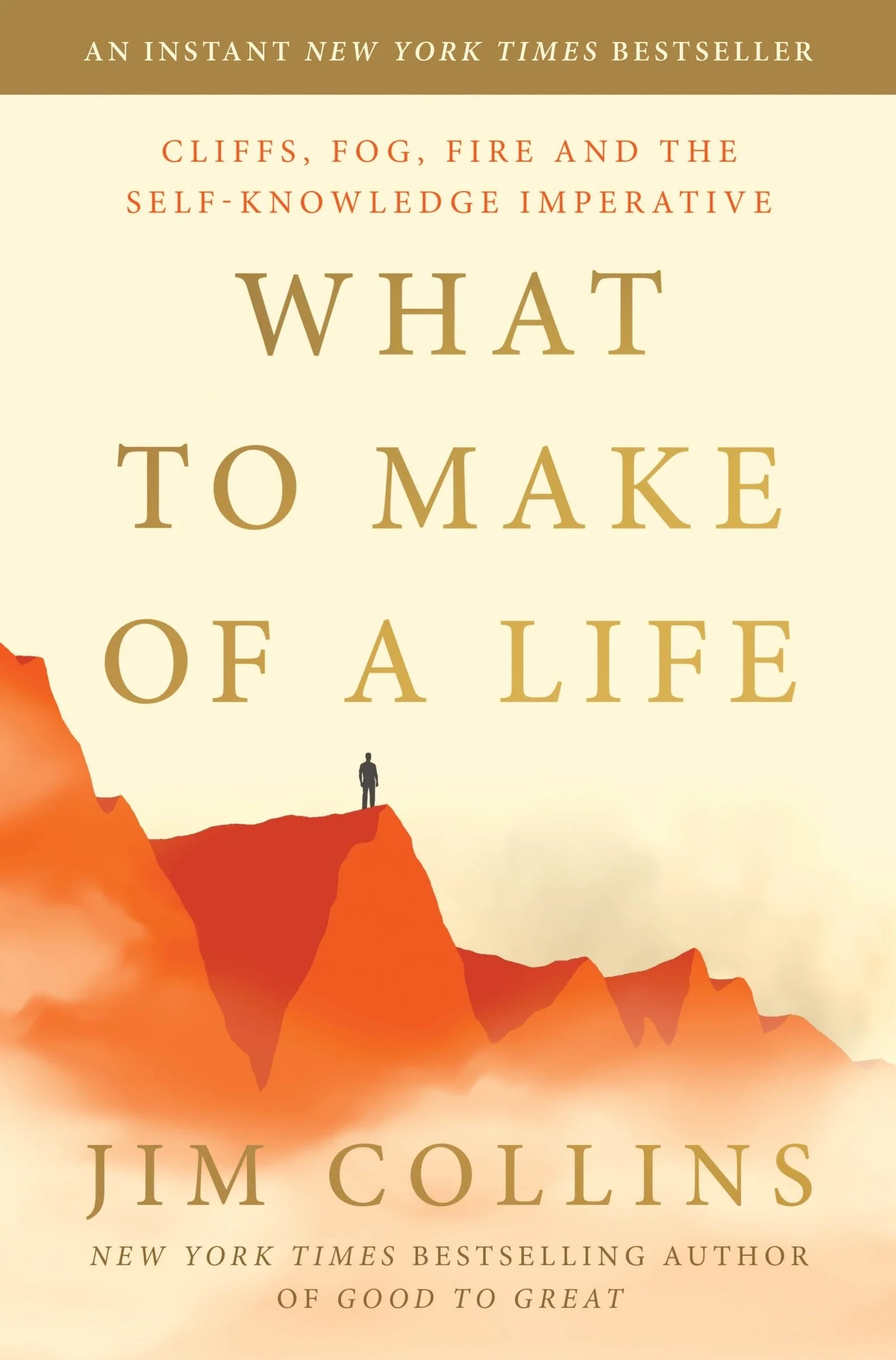 What to Make of a Life - Image 2
