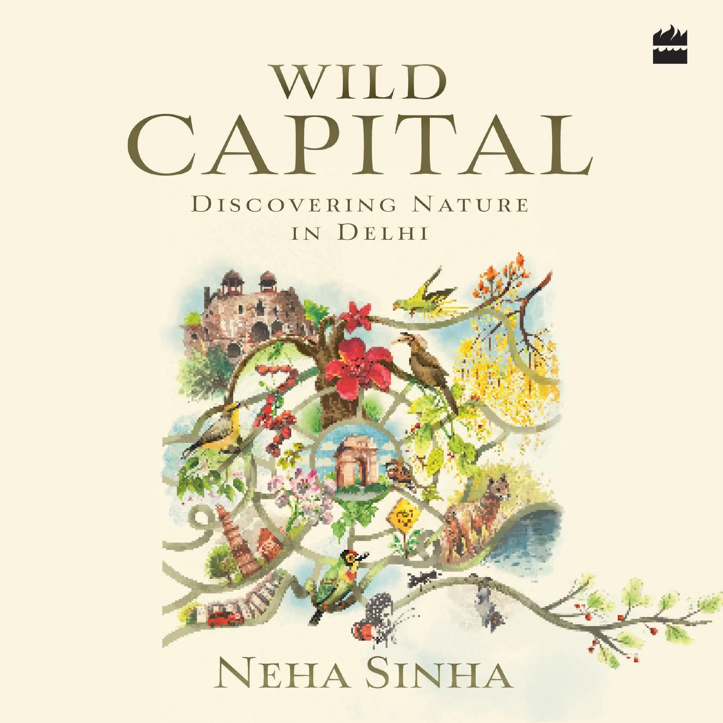 Wild Capital - Image 2