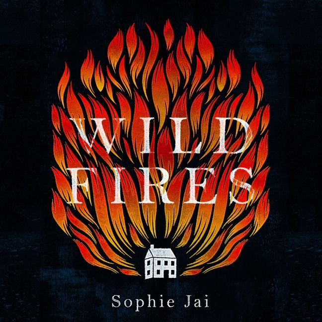 Wild Fires - Image 4