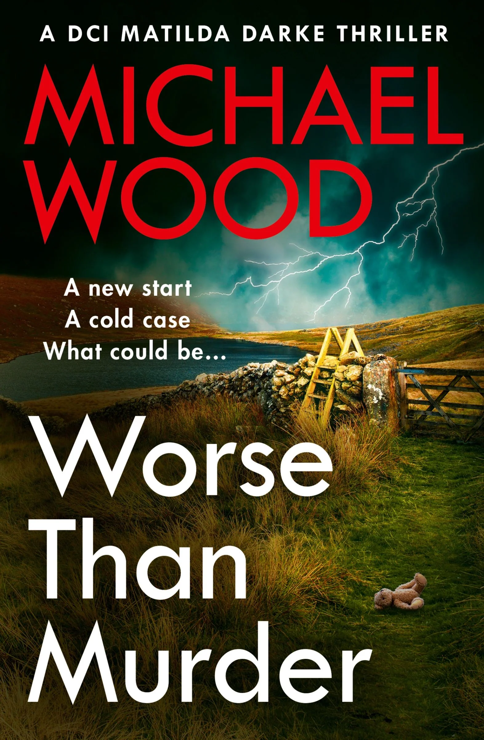 Worse Than Murder (DCI Matilda Darke Thriller, Book 13)